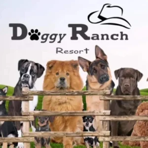 Doggyranch 2