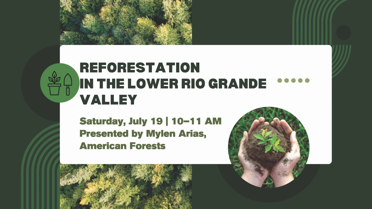 Reforestation in the Lower Rio Grande Valley | HeyWAGO