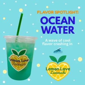 Lemon Love Lemonade 11