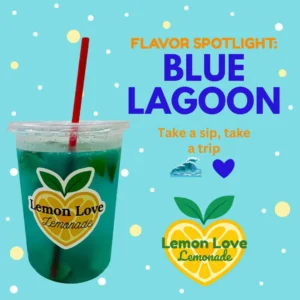 Lemon Love Lemonade 9