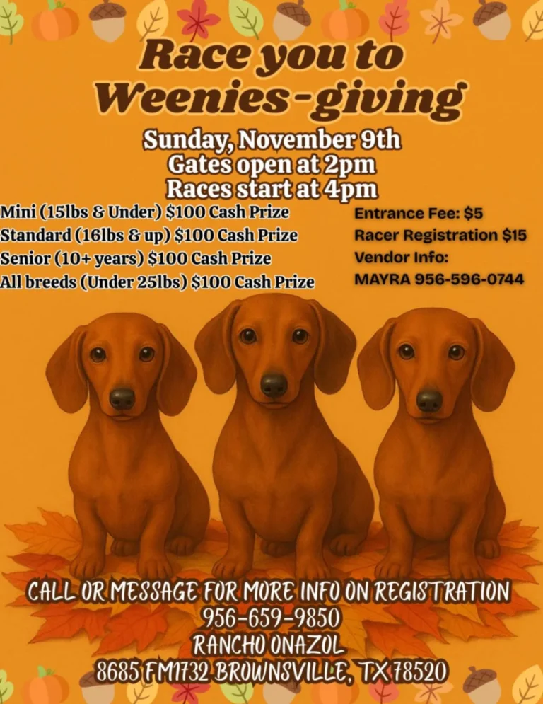 Race You To Weenies Giving