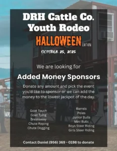 Youth Rodeo Saddle Series 1
