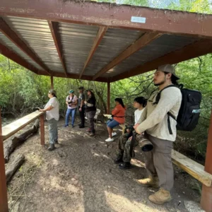 Wild Birds Unlimited Of Mcallen Tx 13