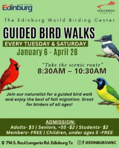 Guided Bird Walks Edinburg World Birding Center