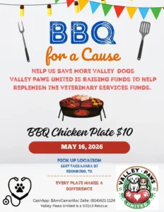 BBQ for a Cause – Valley Paws United - Image 02 (May 13, 2026)