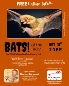Bats of the RGV Talk - Image 01 (October 26, 2026)