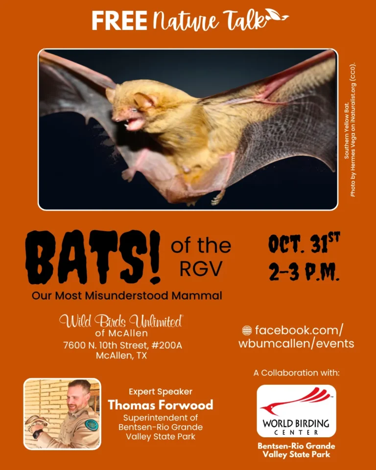 Bats of the RGV Talk - Image 01 (October 26, 2026)