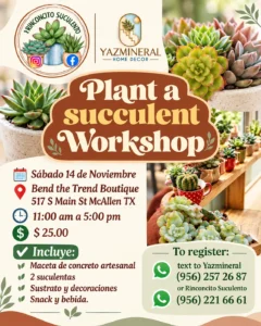 Planta a succulent workshop - Image 01 (October 20, 2026)