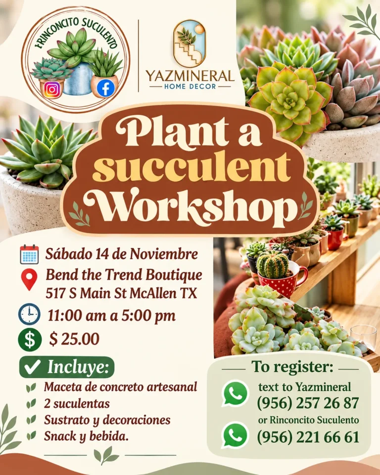 Planta a succulent workshop - Image 01 (October 20, 2026)