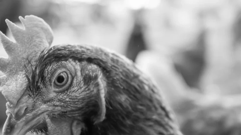 Agm Memories Photography 5