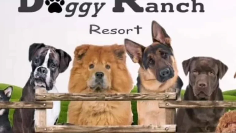 Doggy Ranch Resort 1