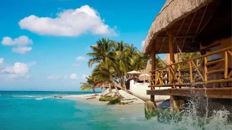 Vive La Vida Travel 6
