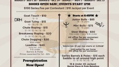 Youth Rodeo Saddle Series 5